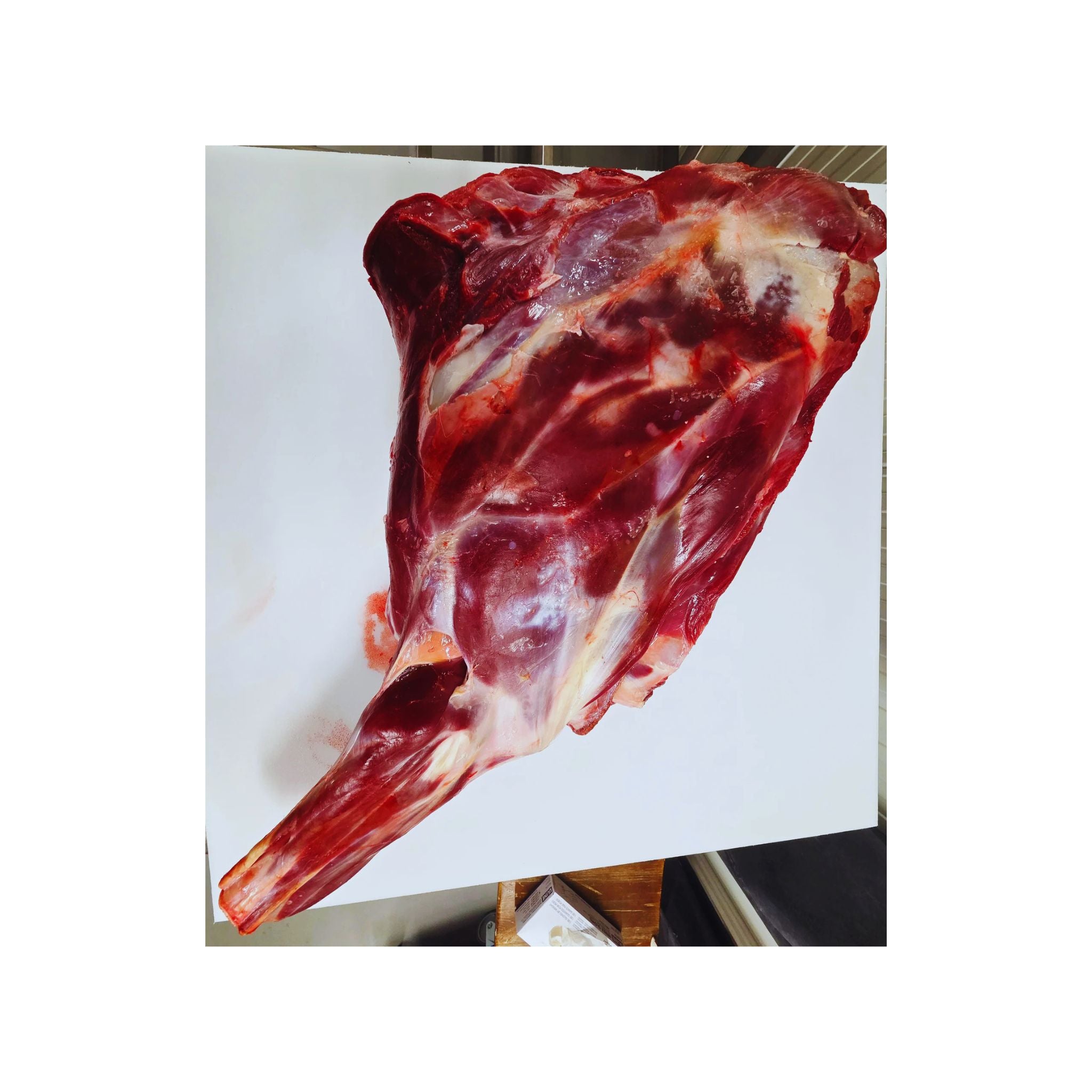 Reindeer Shoulder & Arm