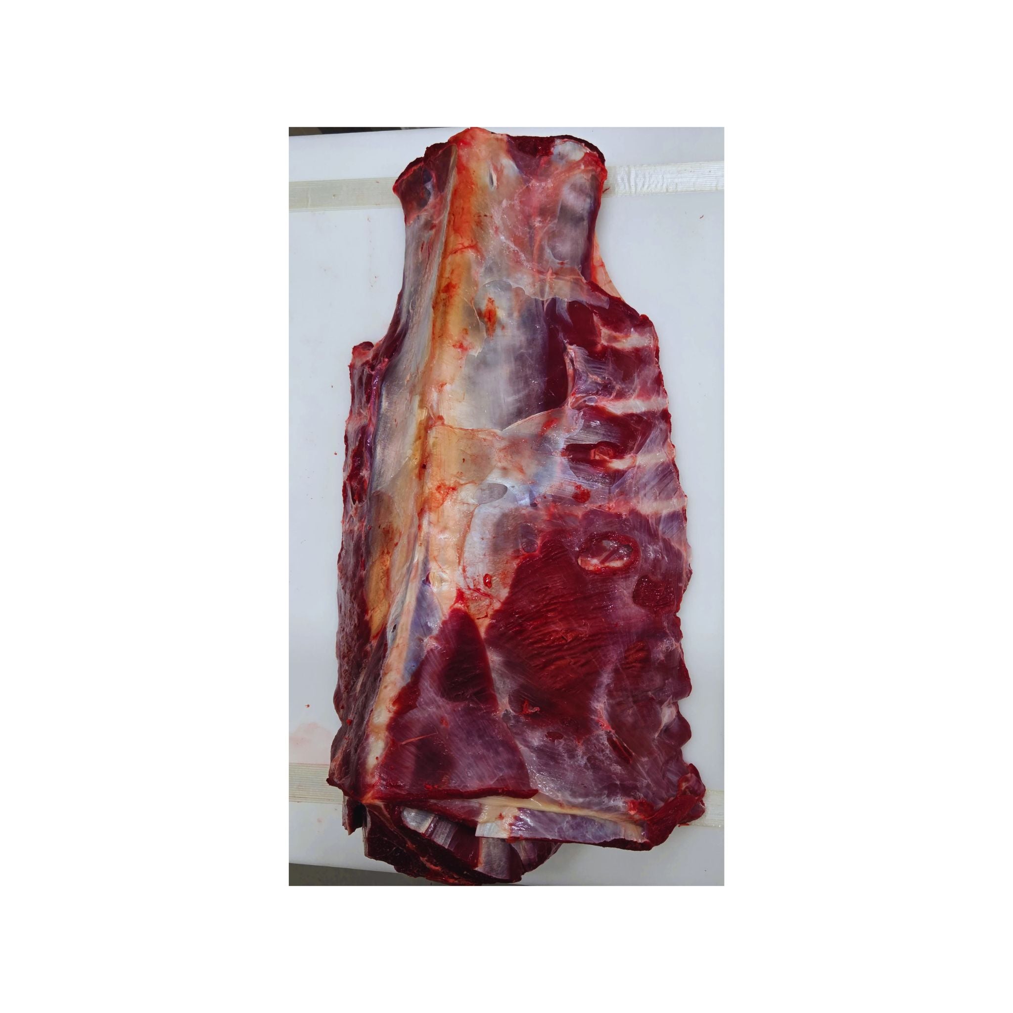 Reindeer Whole Loin